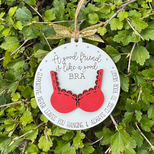 A Good Friend Is Like Bra Ornament
