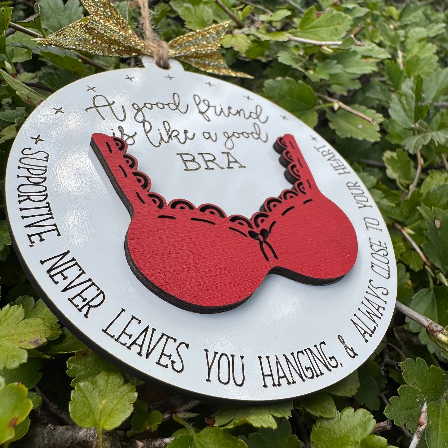 A Good Friend Is Like Bra Ornament