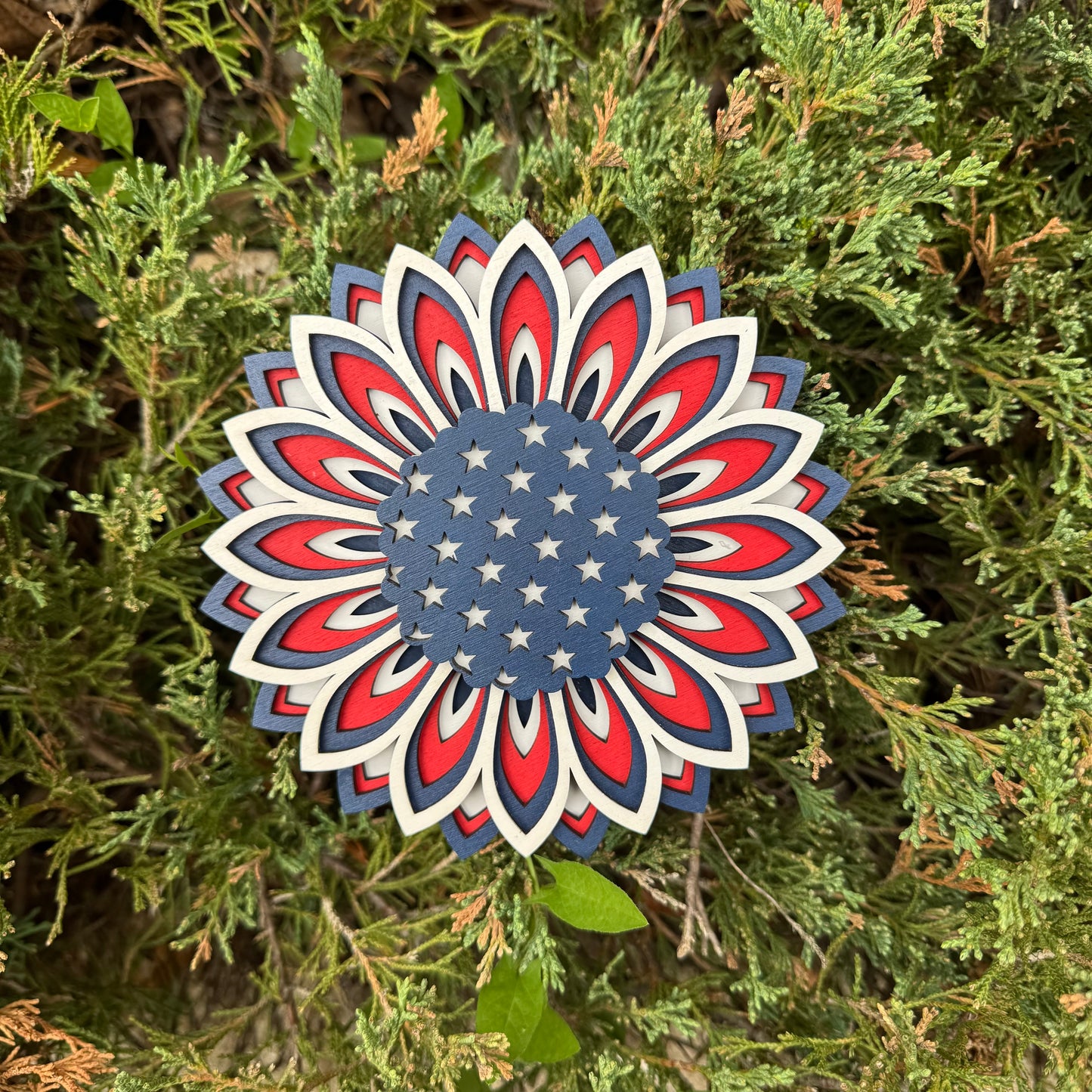 America Sunflower Sign